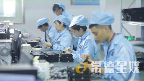 桃源培優“兩主兩特”產業，以信息技術咨詢服務助力挺進全省十強縣