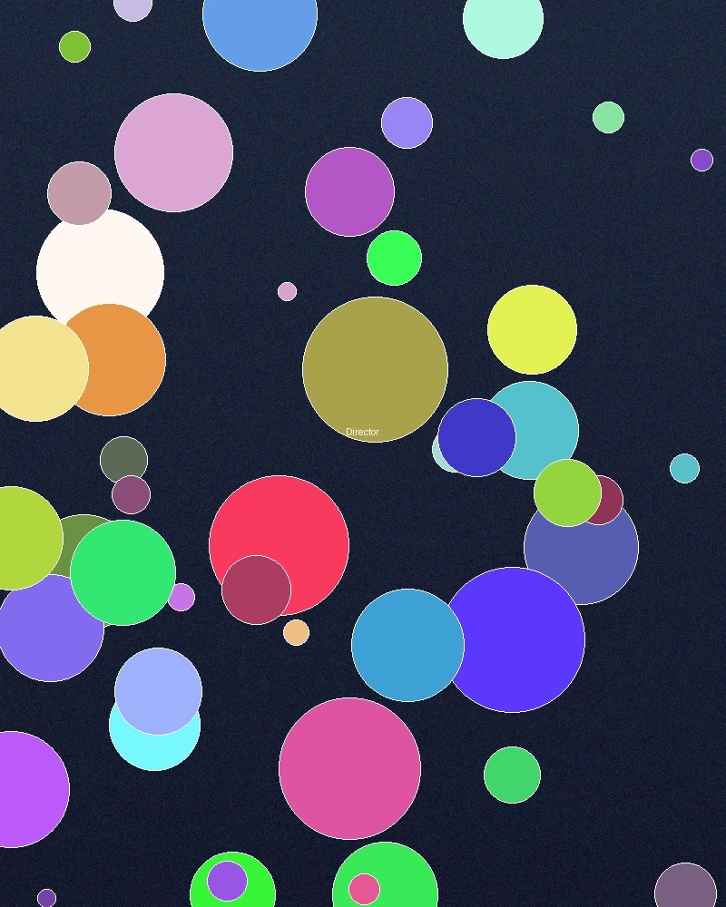 h动漫首席导演张伟先生专业肖像照